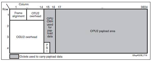 Extended OPU2 payload used for mapping 10 GigE LAN PHY